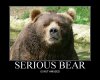 serious-bear.jpg