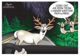 deer in headlights.jpg