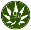 marijuana-legalization-news1-750x739.jpg