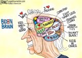 Biden brain.jpg