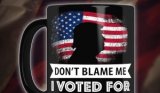 dont-blame-me-i-voted-for-trump-mug-300x175.jpeg