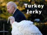 turkey jerky.jpg