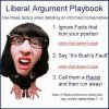 Liberal playbook.jpg