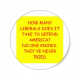 anti_liberal_anti_obama_joke_stickers-r041d38a436084a6097397efca146b82d_v9waf_8byvr_324.jpg