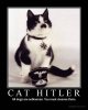 cat-hitler-01.jpg