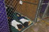 illigals kids in cages under Obama.jpg