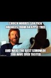 Top-30-chuck-norris-jokes-1-Chuck-Norris-Memes.jpg