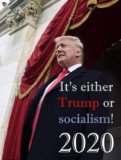 Trump_Or_Socialism_2020-228x300.jpg