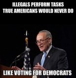 schumer-illegals-perform-tasks-true-americans-would-never-do-voting-for-democrats.jpg