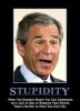 Stupidity Bush.jpg