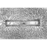 Magnetic Lines of Flux.jpg