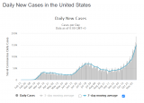 USA_Daily_Cases111520.PNG