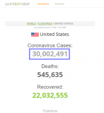 2021-03-013 COVID-19 the USA exceeds 30 million C19 cases.png