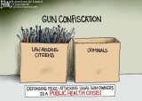 gun confiscation.jpg