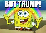 SBOB BUT TRUMP.jpg