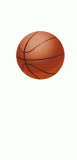 basketball-icegif-26.gif
