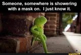 kermit_covid2.jpg