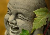 Laughing Buddha Buzz.jpg