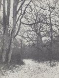Eugne_Cuvelier_-_Road_in_the_Forest_-_(MeisterDrucke-1309203).jpg
