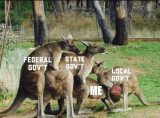 1709233734869.png