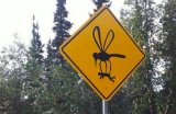 Article-Image-HilariousSigns-Warning-Giant-Mosquitos.jpeg