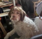 IMG_1169.jpeg