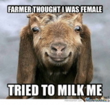 farmerthought-i-was-female-tried-to-milk-me-meme-center-com-6760847.png