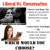 Liberal vs Conservative.png