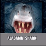 alabama-shark-5024191.png