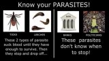 know your parasite.jpg