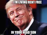 Trump rent free in your head son.jpg