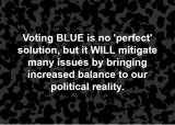 Voting BLUE is No Perfect Solution - It is Political Balance.JPG