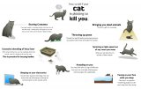 how-to-tell-if-your-cat-is-plotting-to-kill-you.jpg