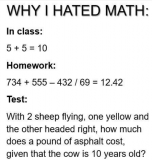 hated maths.PNG