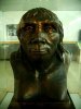 Peking_Man.jpg