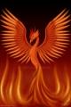 the phoenix