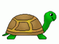 Turtledude