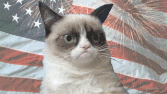 GrumpyCatFace